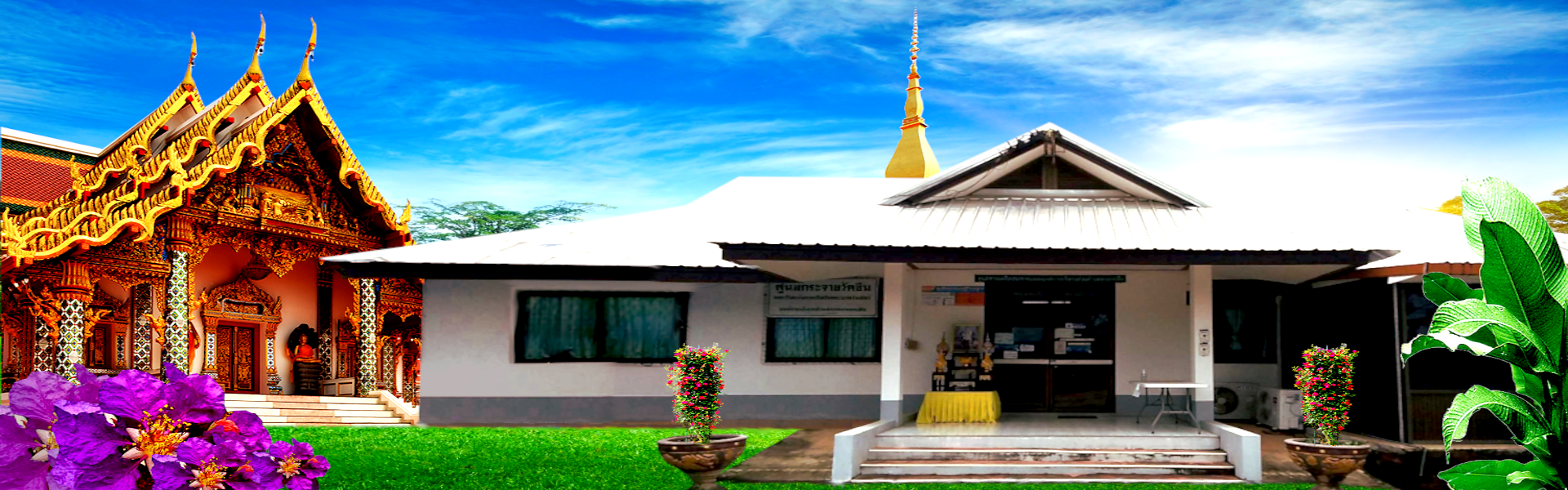 พื้นหลัง